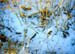 bones3