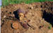 skull2