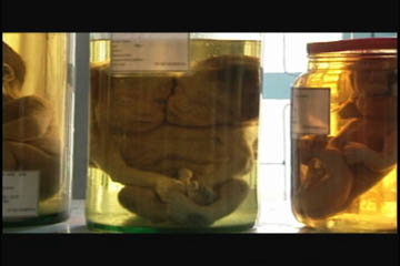 jar2