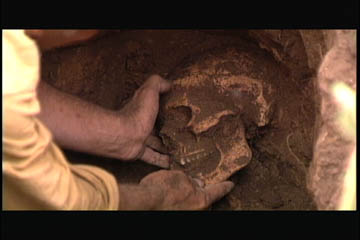 scull4