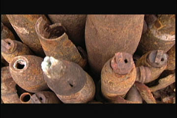 shells1