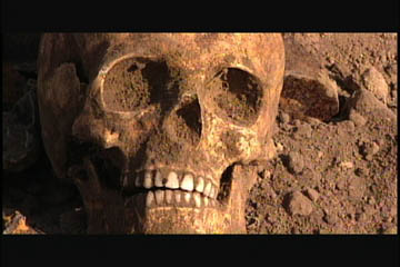 skullcu