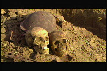 skulls