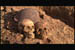 skull2