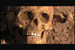 skullcu